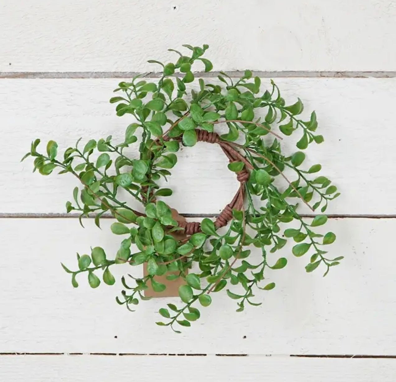 Evergreen Boxwood Ring